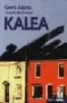 AudioLibro Kalea de Gerry Adams