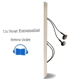 Descargar AudioLibro Un Noiet Entremaliat de Bettina Violet año 1995