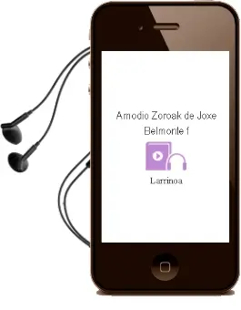 Descargar AudioLibro Amodio Zoroak de Joxe Belmonte F. De Larrinoa año 1999