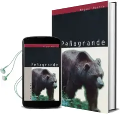 Descargar AudioLibro Peñagrande de Miguel Martin año 2000