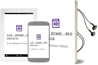 Descargar AudioLibro 110. Street-Eko Geltokia de Iñaki Zabaleta Urkiola año 2003