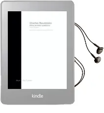 Descargar AudioLibro Obra Poetica Completa (Texto Bilingüe Frances-Español) de Charles Baudelaire año 2003