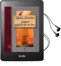 Descargar AudioLibro Sukar Ustelaren Urtea de Edorta Jimenez año 2004