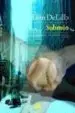 AudioLibro Submon de Don Delillo