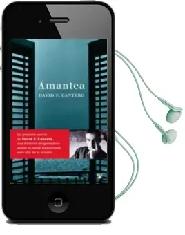 Descargar AudioLibro Amantea de David F. Cantero año 2005