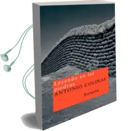 Descargar AudioLibro Leyendo en las Piedras de Antonio Colinas año 2006
