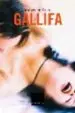 AudioLibro Gallifa de Miquel De Palol