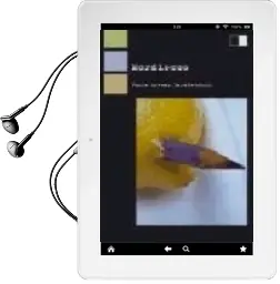 Descargar AudioLibro Mordiscos de Paula Arenas Martin Abril año 2007