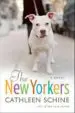 AudioLibro Neoyorquinos de Cathleen Schine