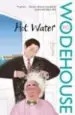 AudioLibro Hot Water de P.G. Wodehouse