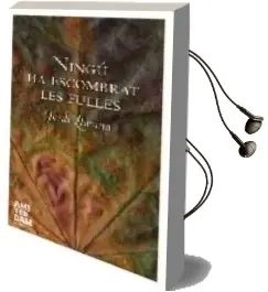 Descargar AudioLibro Ningu ha Escombrat les Fulles de Jordi Llavina año 2008