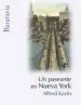 AudioLibro Un Paseante en Nueva York de Alfred Kazin
