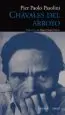AudioLibro Chavales del Arroyo de Pier Paolo Pasolini
