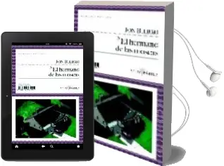 Descargar AudioLibro El Hermano de las Moscas de Jon Bilbao año 2008