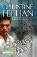 AudioLibro Burning Wild de Christine Feehan