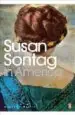 AudioLibro In America de Susan Sontag