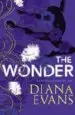AudioLibro The Wonder de Diana Evans