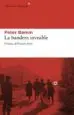 AudioLibro La Bandera Invisible de Peter Bamm