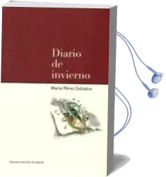 Descargar AudioLibro Diario de Invierno de Maria Perez Collados año 2010