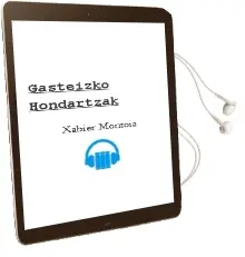 Descargar AudioLibro Gasteizko Hondartzak de Xabier Montoia año 2010