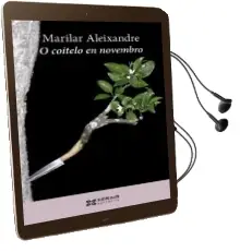 Descargar AudioLibro O Coitelo en Novembro de Marilar Aleixandre año 2010