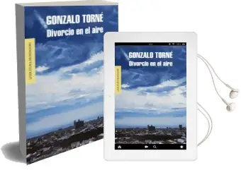 Descargar AudioLibro Divorcio en el Aire de Gonzalo Torne año 2013