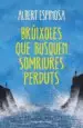AudioLibro Bruixoles que Busquen Somriures Perduts de Albert Espinosa
