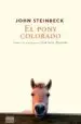 AudioLibro El Pony Colorado de John Steinbeck