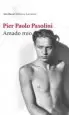 AudioLibro Amado mio de Pier Paolo Pasolini