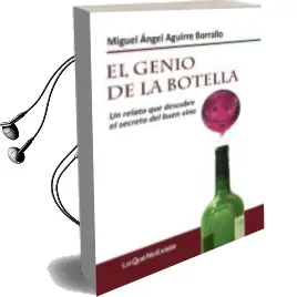 Descargar AudioLibro El Genio de la Botella de Miguel Angel Aguirre Borrallo año 2014