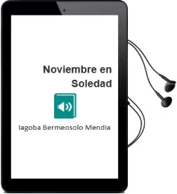 Descargar AudioLibro Noviembre en Soledad de Iagoba Bermeosolo Mendia año 2014
