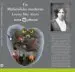 AudioLibro Un Mefistofeles Moderno de Louisa May Alcott