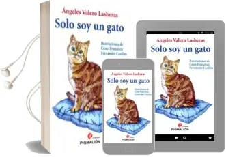 Descargar AudioLibro Solo soy un Gato de Angeles Valero Laceras año 2015