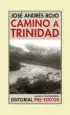 AudioLibro Camino a Trinidad de Jose Andres Rojo Ramirez