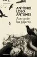 AudioLibro Acerca de los Pajaros de Antonio Lobo Antunes