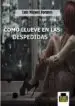 AudioLibro Como Llueve en las Despedidas de Luis Miguel Fuentes